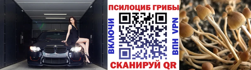 наркота Октябрьский Галлюциногенные грибы мицелий